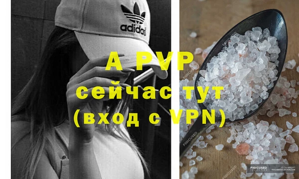 стафф Абаза
