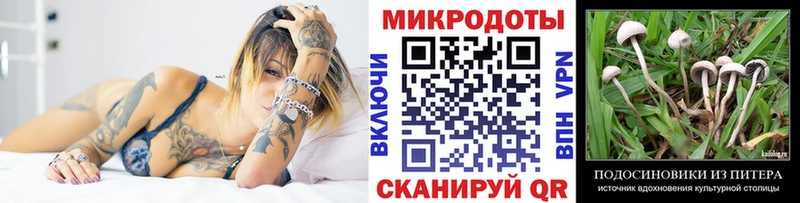 Галлюциногенные грибы GOLDEN TEACHER площадка Telegram Карабаш где найти